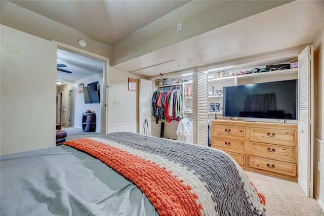 bedroom featuring carpet and a closet