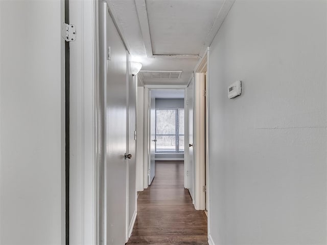 hallway with dark wood-style floors