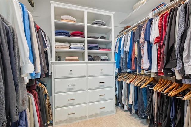 spacious closet with carpet