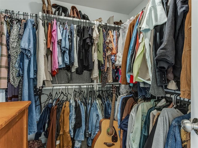 view of walk in closet