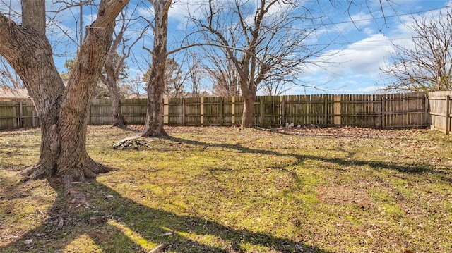 view of yard with a fenced backyard