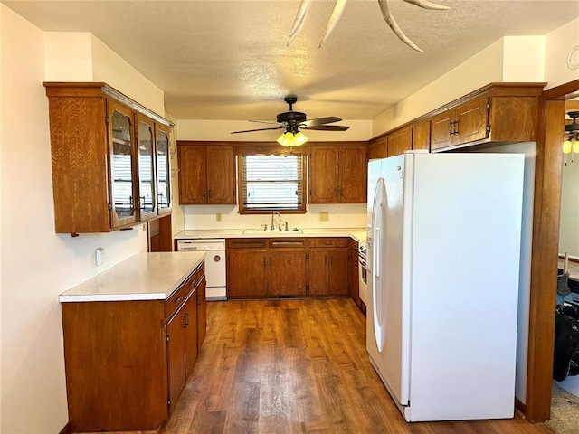 kitchen featuring white appliances, dark wood-style flooring, brown cabinetry, and light countertops