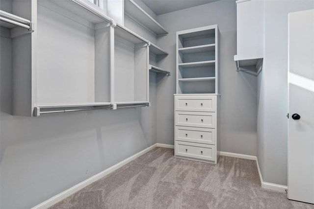 spacious closet featuring carpet floors