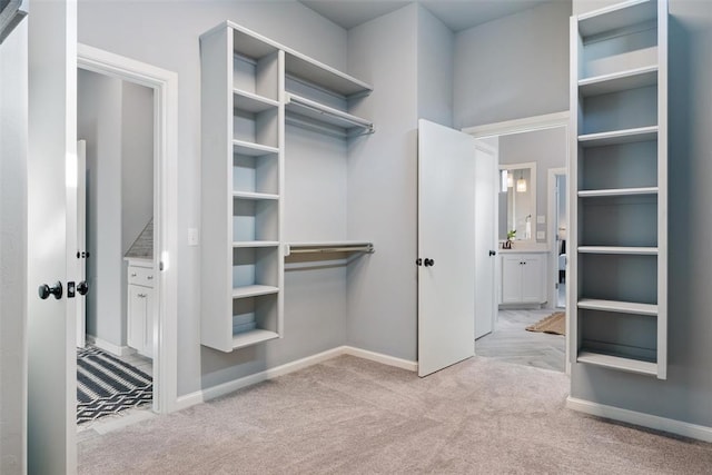 spacious closet featuring carpet flooring