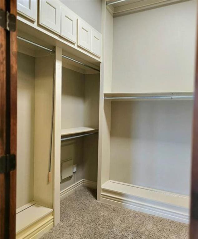 spacious closet featuring carpet