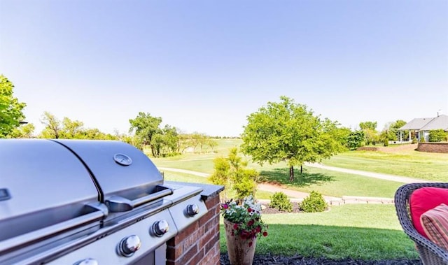 view of yard with an outdoor kitchen