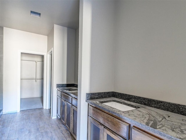 full bath featuring vanity and a spacious closet