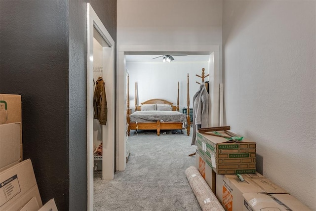 carpeted bedroom with a textured wall