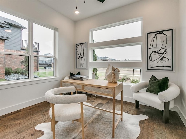 office featuring a wealth of natural light, baseboards, wood finished floors, and recessed lighting