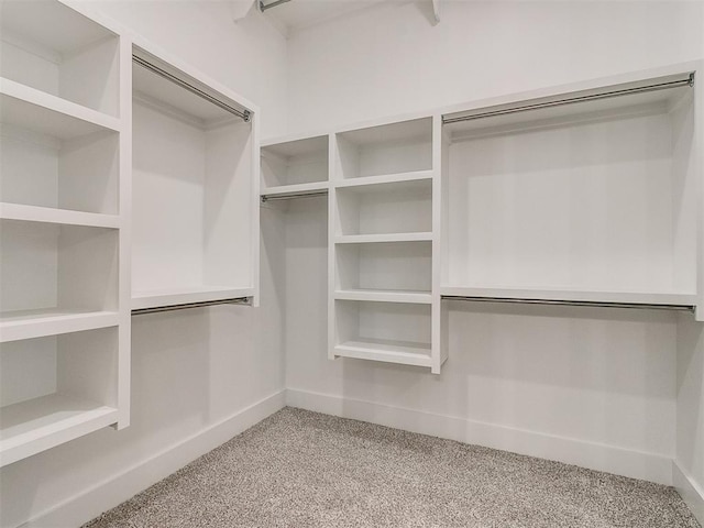 walk in closet featuring carpet floors