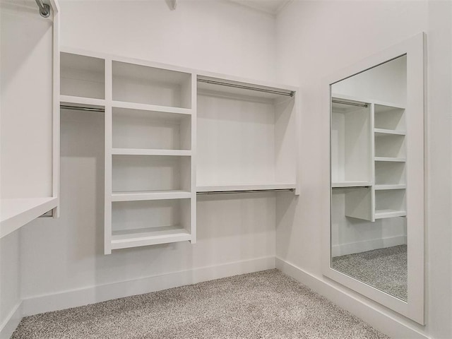 spacious closet with carpet floors