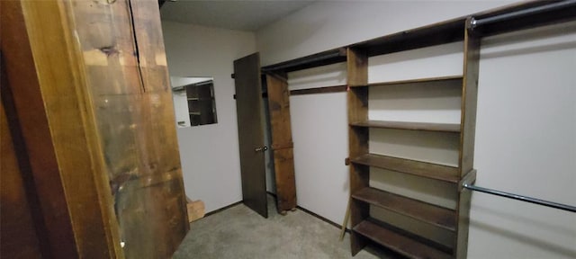 walk in closet with carpet flooring