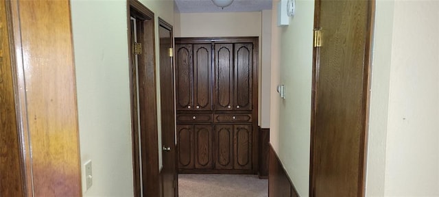 hallway with light carpet