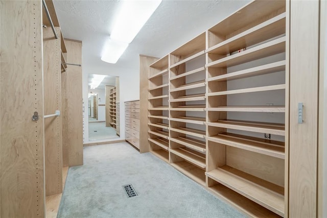 spacious closet featuring carpet flooring