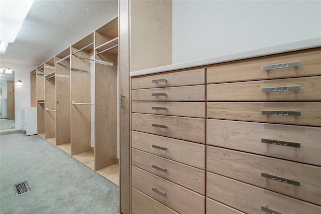 spacious closet featuring carpet flooring