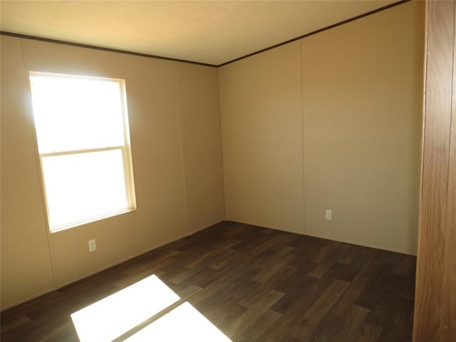 spare room with dark wood-style floors and ornamental molding