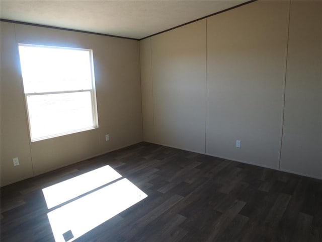 spare room with wood finished floors