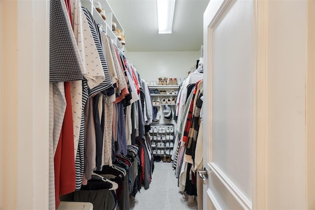 walk in closet with carpet flooring