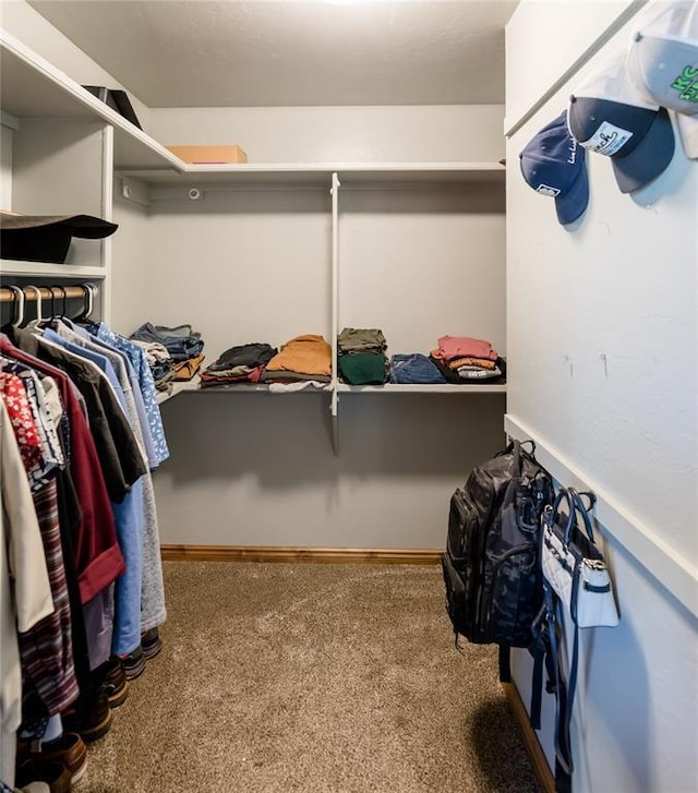 spacious closet featuring carpet