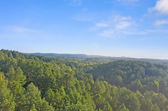 property view of mountains featuring a wooded view