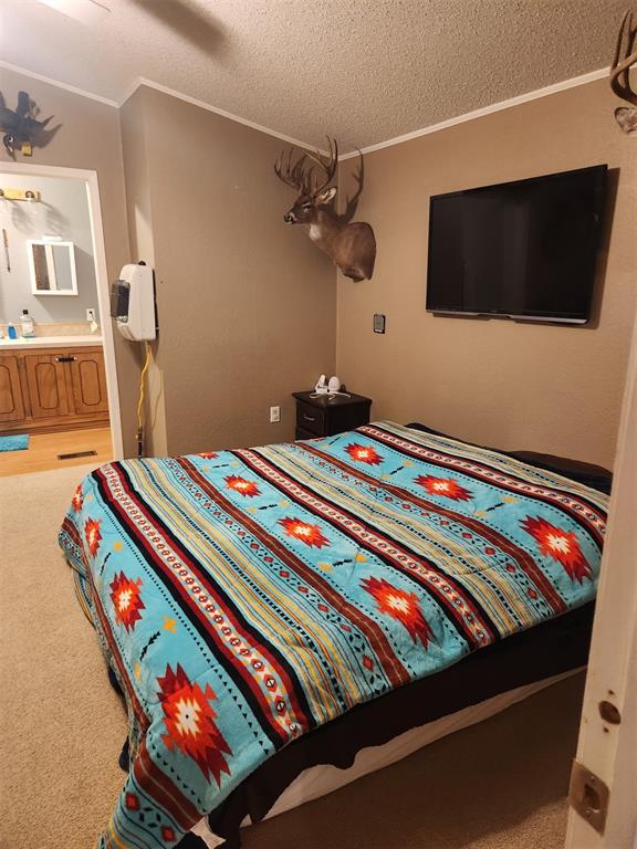 carpeted bedroom featuring a textured ceiling, ensuite bathroom, a ceiling fan, and crown molding