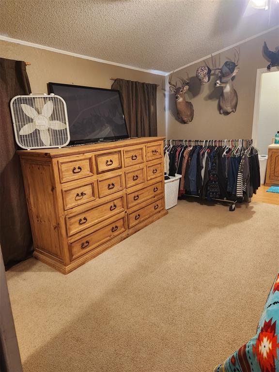 spacious closet featuring carpet