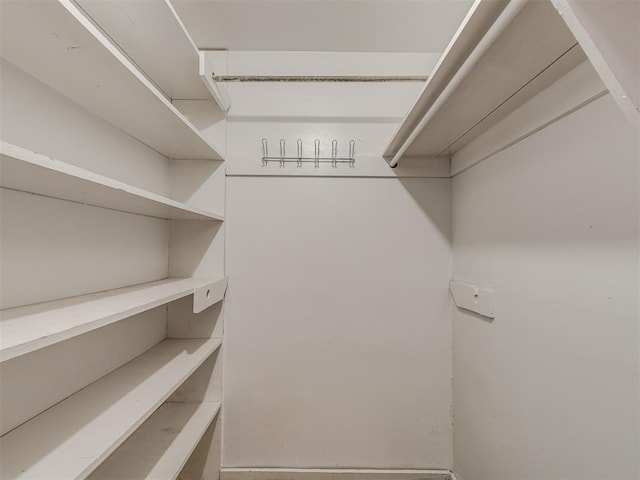 view of walk in closet