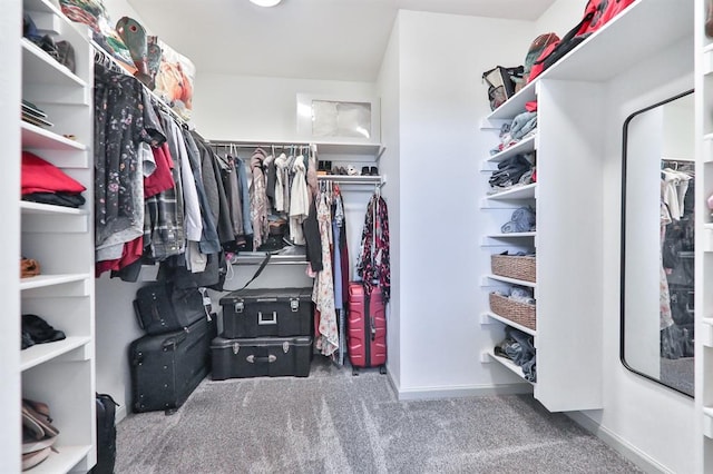 walk in closet with carpet flooring