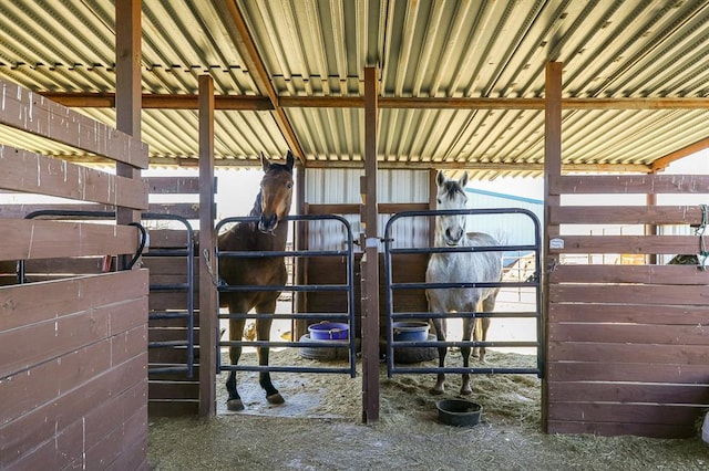 view of stable