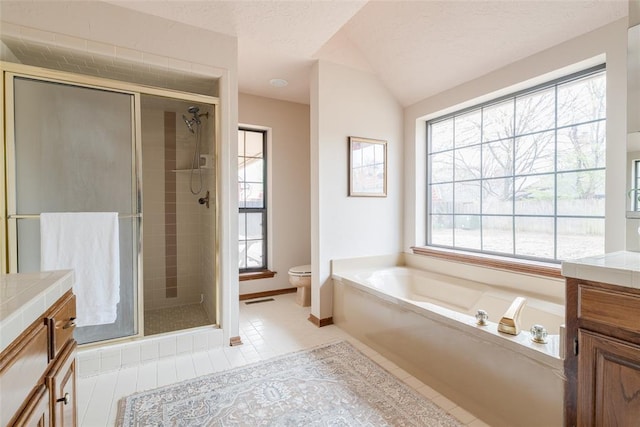 bathroom featuring a shower stall, a textured ceiling, vanity, and toilet