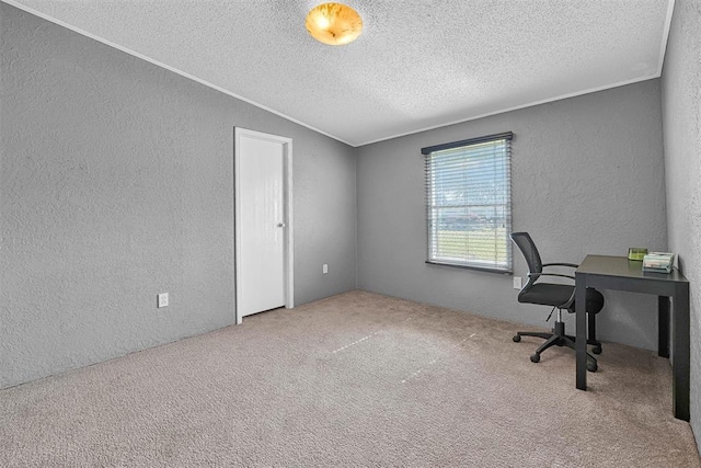 office with crown molding, carpet flooring, a textured wall, and a textured ceiling