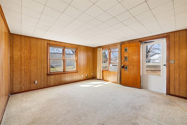 carpeted spare room with wooden walls, a healthy amount of sunlight, and baseboards