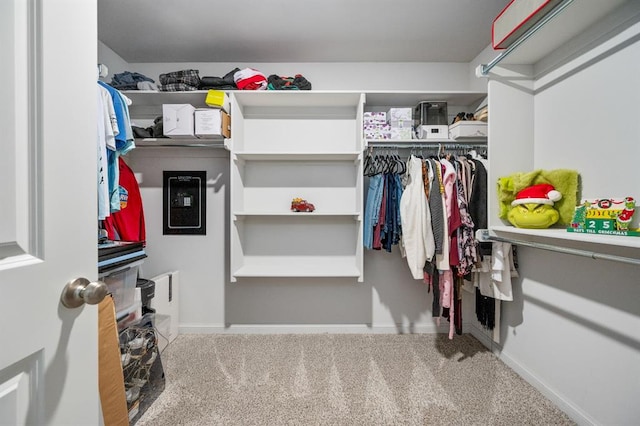 walk in closet with carpet flooring