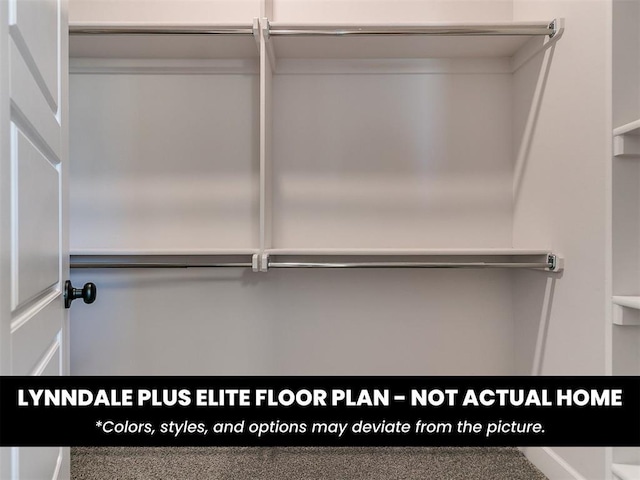 view of closet