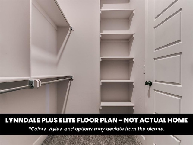 view of spacious closet
