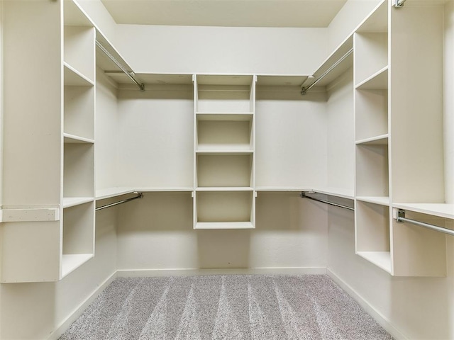 walk in closet featuring carpet floors