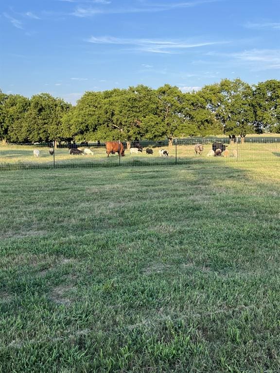 view of yard featuring a rural view and fence