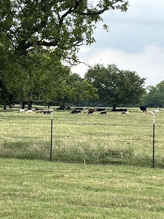 view of yard featuring a rural view