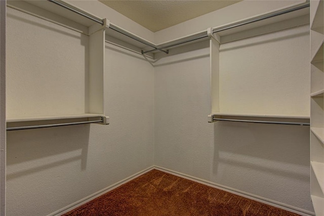 spacious closet with carpet