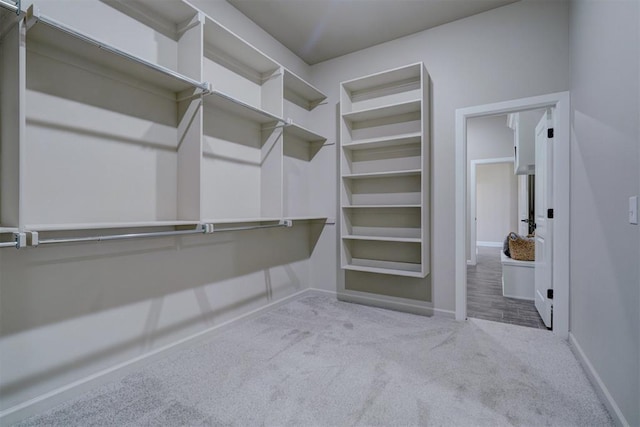 walk in closet with carpet floors