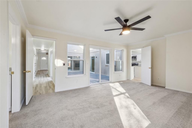 unfurnished room with crown molding, a ceiling fan, and carpet floors