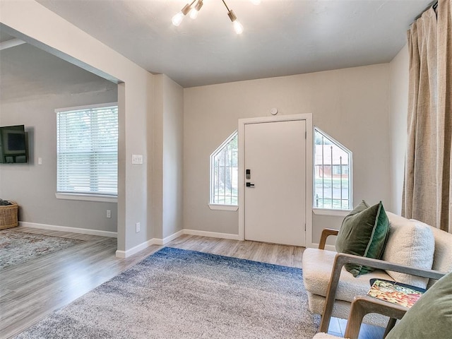 foyer with baseboards, wood finished floors, and a healthy amount of sunlight