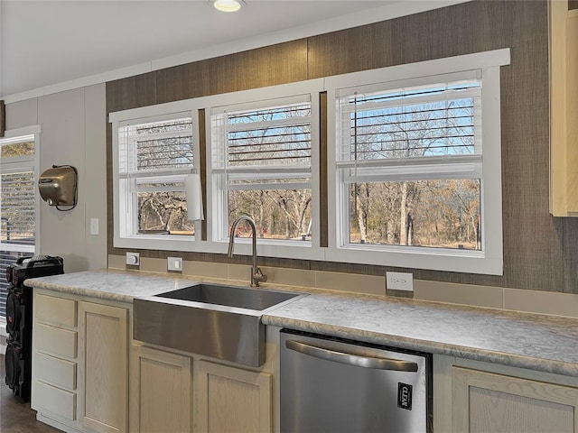 kitchen with a sink and stainless steel dishwasher