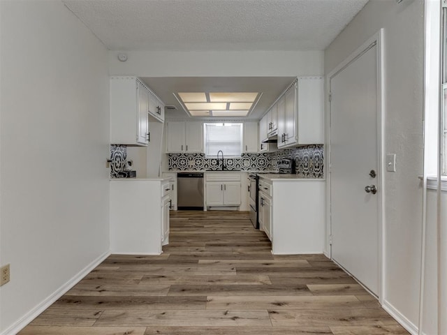 kitchen featuring light wood-type flooring, a sink, stainless steel appliances, and backsplash