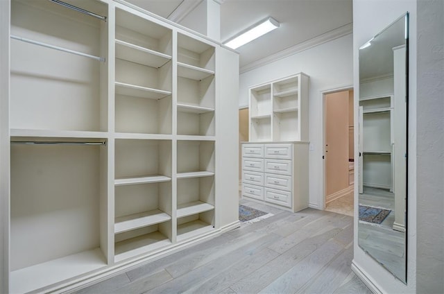 walk in closet featuring light wood finished floors