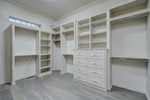 walk in closet with visible vents and light wood finished floors