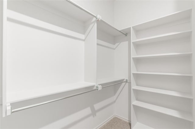 walk in closet featuring carpet