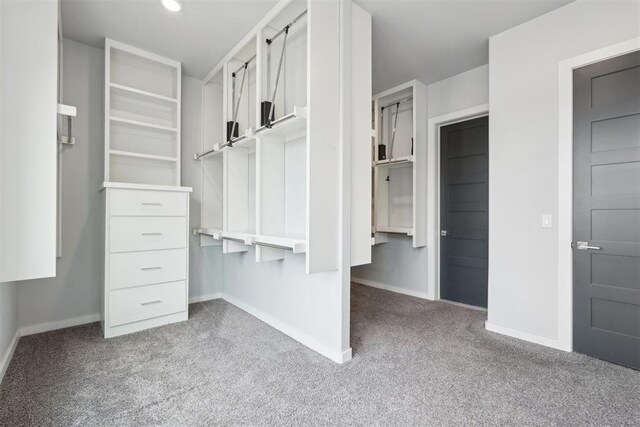 2725 Piazza Ct, Arcadia, OK 73007 - spacious closet with carpet flooring