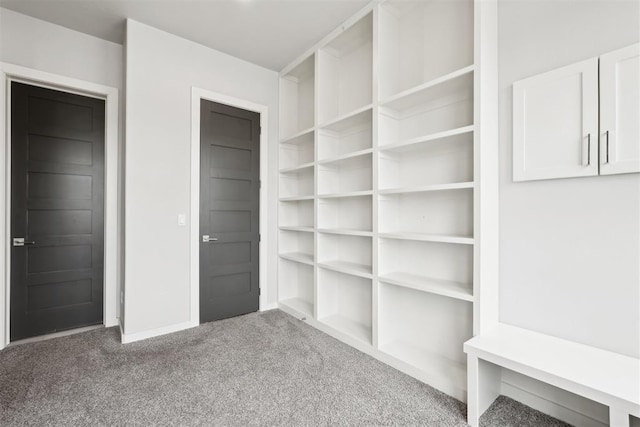 2725 Piazza Ct, Arcadia, OK 73007 - walk in closet with carpet flooring