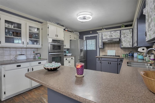 kitchen with under cabinet range hood, stainless steel appliances, a peninsula, a sink, and tasteful backsplash